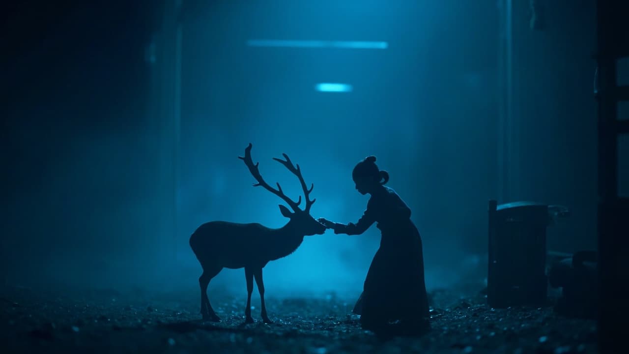 用OpenAI Operator自动化生成医院宣传视频 — AI协作关键技巧